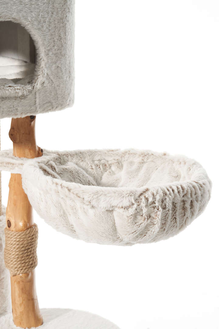 Nobby Kratzbaum Loya